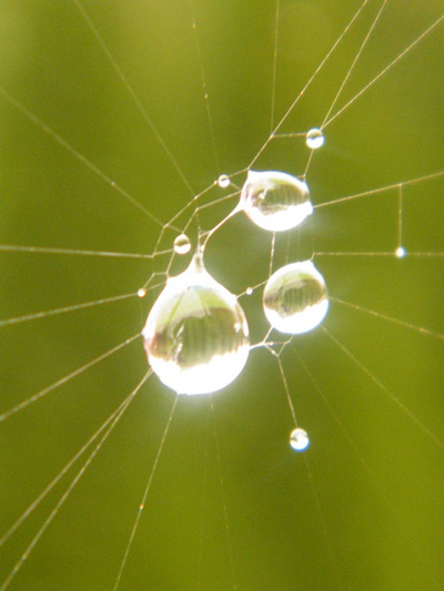 water bobble jug filtrowanie wody konkurs ewal water bobble jug filtrowanie wody konkurs ewal